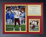 Joe Theismann 11' x 14' Framed Photo Collage by Legends Never Die, Inc.