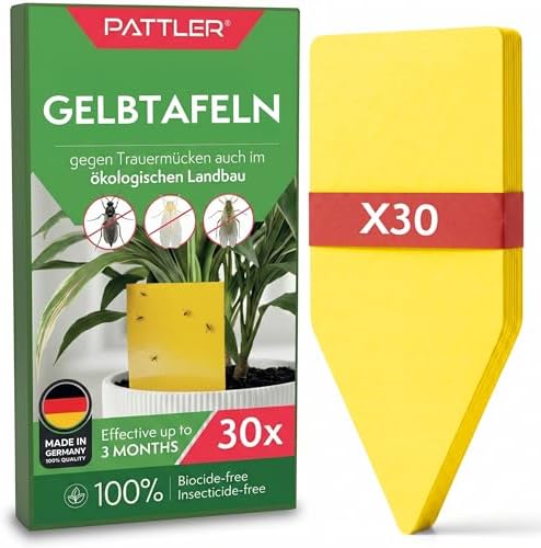Pattler Gelbsticker Trauermücken – 30 Stück. Gelbtafeln gegen Trauermücken bekämpfen ideal für den Einsatz als Klebefallen für Zimmerpflanzen, bis zu 3 Monate wirksam und ohne Chem