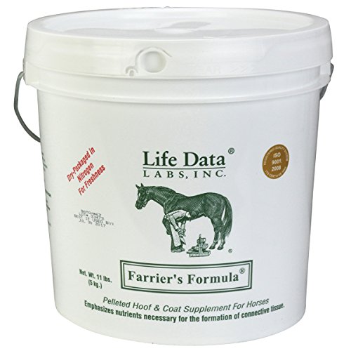 Discover the Top 10 Farriers Formula Double Strength Plus Joint Supplements for Happy Hooves