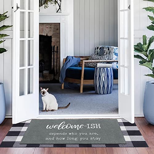 JJUUYOU Large Welcome Mats Outdoor Front Door Mat Indoor Entrance with Non Slip Rubber Back Funny Welcome-ish Rugs Durable Floor Rug for Kitchen Entryway Laundry Light Gray 120X45CM - Image 2