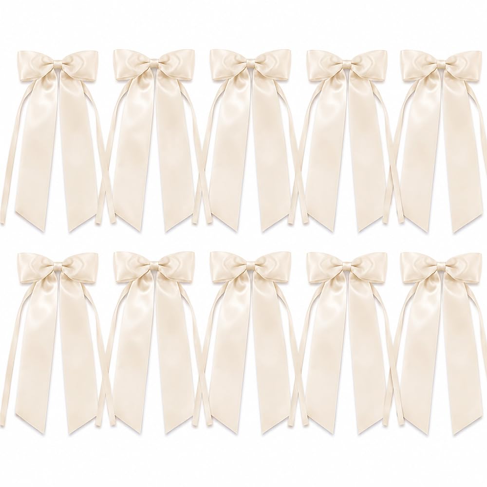 10PCS Ribbon Bows for Gift Wrapping and Bridal Shower