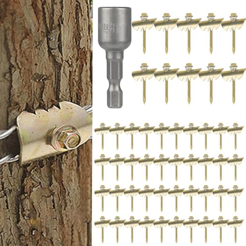 C[tFXXe[v ? 50ėp\BAC[tBNT[t | C[bVE҂݃tFXpAo蒆A_pϋvtFXێ