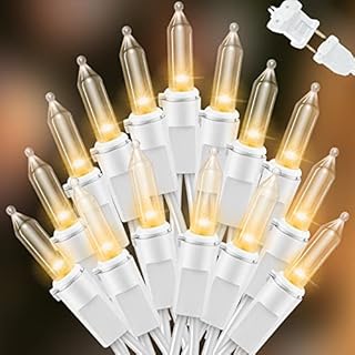 LAMPHOME 100 Mini LED Count Warm White -String Lights - 21.6FT LED Christmas Lights, Mini led Lights for Outdoor Home Holiday Party Wedding Independence Day Decoration