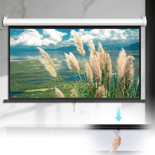 Pantalla Manual Retráctil para Proyector 60" 16:9