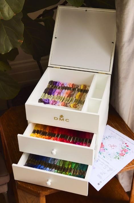 Amazon.com: DMC Modular Storage Box Includes 100 Skeins of DMC Six
