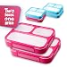 Leakproof Bento Lunchboxes, Lunch Containers 3 Compartments (2-Pack), no smells, food prep, meal planning, Microwave and Freezer Safe - FDA Approved and BPA Free by New Tomorrow