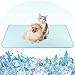 Pawaboo Tapis Rafraîchissant pour Chien, Grand Matelas Rafraîchissant Animaux de Compagnie Réutilisable, 70 x 120 cmTapis d'alimentation, Matelas à Langer Absorption de l'eau pour Chien Chat, Bleu