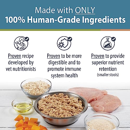 JustFoodForDogs Pantry Fresh Wet Dog Food, Rx Metabolic Support Turkey & Squash Human Grade Dog Food Recipe - 12.5 oz (Pack of 12)