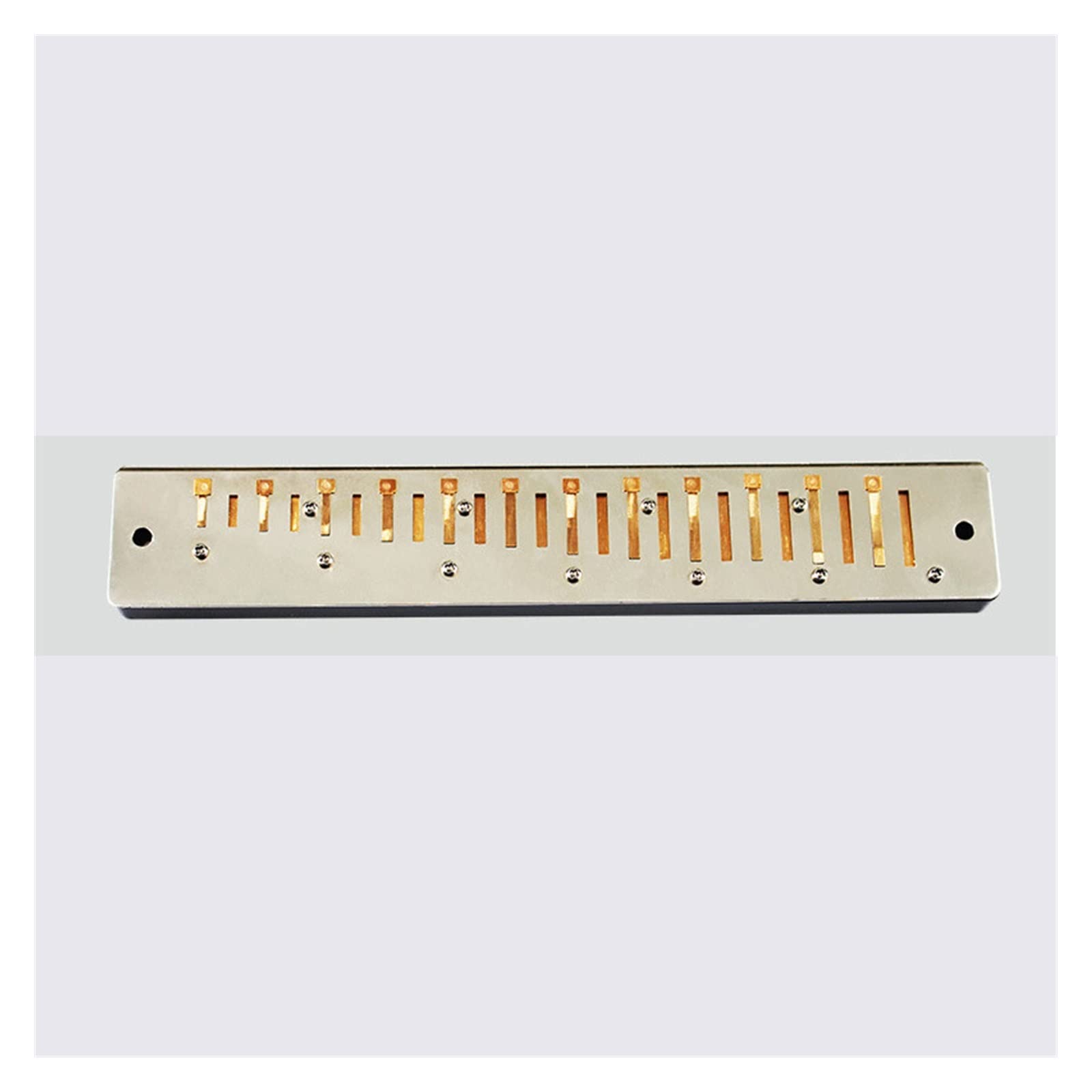 Armonica A 24 Buche Armonica Polifonica C-Tone Studente Adulto Professionista Che Suona L'armonica Armonica per Principianti (Color : 02)