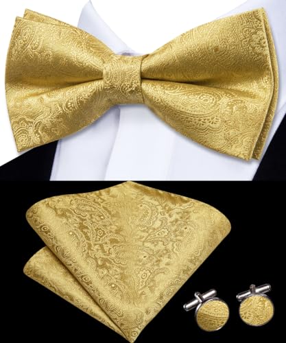 Image of Dubulle Mens Paisley Striped Bowtie Set Pre-tied Bowtie for Men and Pocket Square Set Wedding Business