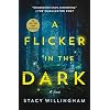 Flicker in the Dark Paperback January 10, 2023