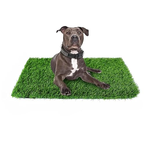 lH tFCNOXhA}bg ppbh ybgŉOt[ODemanca vtFbVipgCg[jOO rt^pŐ}bg (49x73cm)