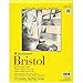 Strathmore 11-Inch by 14-Inch Bristol Smooth Paper Pad, 20-Sheet (2 Pack)