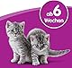 Whiskas Katzenmilch für Kätzchen ab 6 Wochen, 15 Flaschen, 15x200ml – Leckerer Snack für eine glückliche Katze, laktosereduziert und leicht verdaulich,3 l (1er Pack)