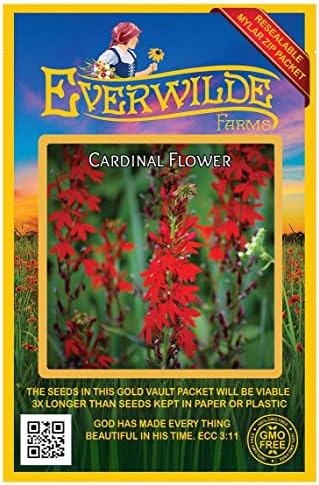 Everwilde Farms - 2000 Cardinal Flower Native Wildflower Seeds - Gold Vault Jumbo Seed Packet