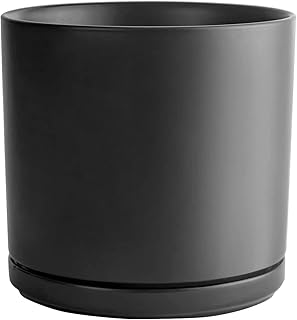 Amazon Co Jp プランター 大型