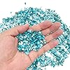LYFJXX Crushed Shells for Crafts, Sea Shells for DIY Art, Vase Fillers Table Scatter, Party Favor, Wedding Decoration, Succulents Plants Soil Cover, Art Crafts #3