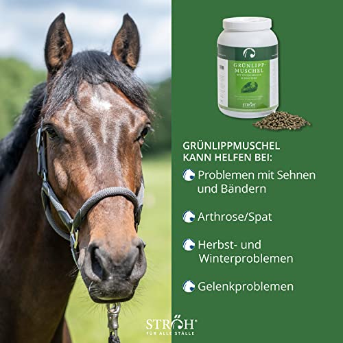 STRÖH Grünlippmuschel Pellets Pferd (2,8kg) • Mit Teufelskralle & Kräuter für Pferde • Unterstützung für Bänder, Sehnen & Gelenke