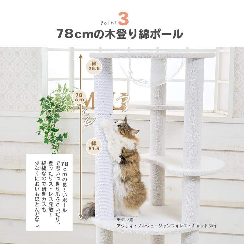 Amazon | Mauキャットタワービアンカ | Mau | キャットタワー 通販