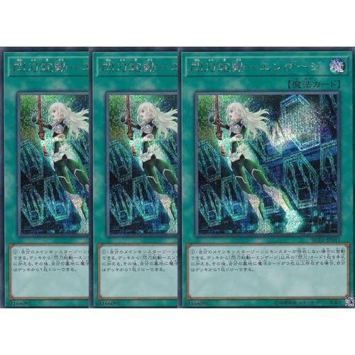 y3Zbgz VYJ[h SLF1-JP043 MN[GQ[W iV[NbgAj SELECTION 5 V[Nbg A VN @ MP M