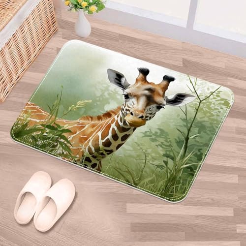 Tapete de entrada súper absorbente de 50 x 80 cm lavable para puerta trasera 2