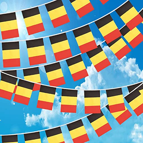 10m Drapeau Belgique avec 30 Petits Drapeau Tissu Coloré 14 * 21cm Bannière Fanion Banderole Belge pour École Patio Piscine Camping Anniversaire Intérieur...