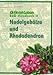 Produktbild Nadelgehölze und Rhododendron: 329 Pflanzenbeschreibungen (Grün ist Leben)