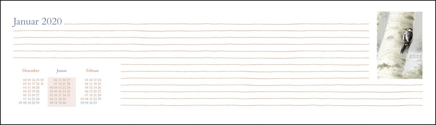 Bastin Wochenquerplaner. Tischkalender 2020. Wochenkalendarium. Spiralbindung. Format 32,5 x 9,3 cm