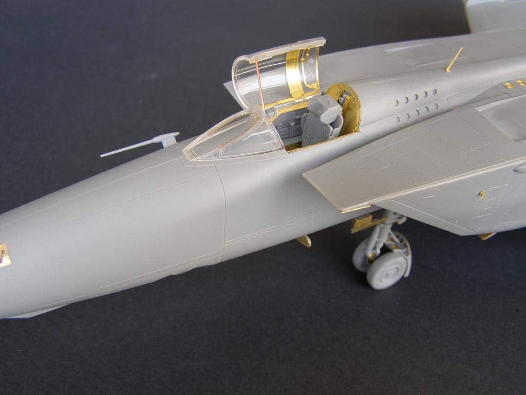 MiG-25. Interior (ICM) 1/48 MD4824