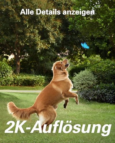 Eufy Security S230 SoloCam S40 Überwachungskamera mit Solarpanel