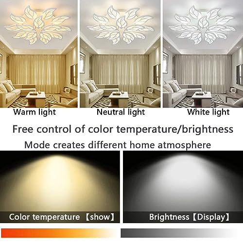 Plafonnier LED pétale dimmable à télécommande pour le salon - 2