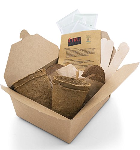 SATTE SAAT Chili Anzucht-Set zur Aufzucht scharfer Chili-Pflanzen mit ökologischen Pflanztöpfen, Anzuchterde, Holz-Sticks, Chili-Samen und Anleitung - Pflanzset Geschenk zu Geburtstag oder Ostern - Image 6