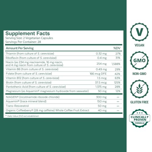 Thumbnail image for Qualia NAD Supplement by NEUROHACKER COLLECTIVE 