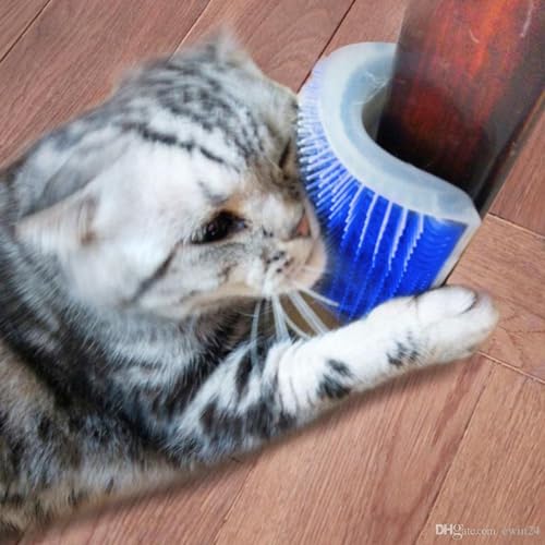 Kit 2 Coçador De Gato Escova De Canto Massagem Pet + Catnip