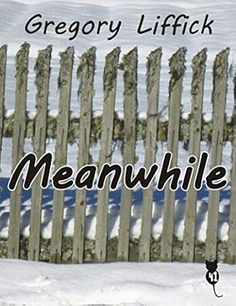 Meanwhile: Gregory Liffick: 9781640920064: Amazon.com: Books