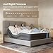 FLEXISPOT All-in-One Adjustable Bed, Queen–Modern Minimalist Design–Synchronized Head & Foot Lift for Reading, TV & Relaxation–Square Tufted Headboard–600 lbs–5Y Motor & 10Y Frame Warranty.