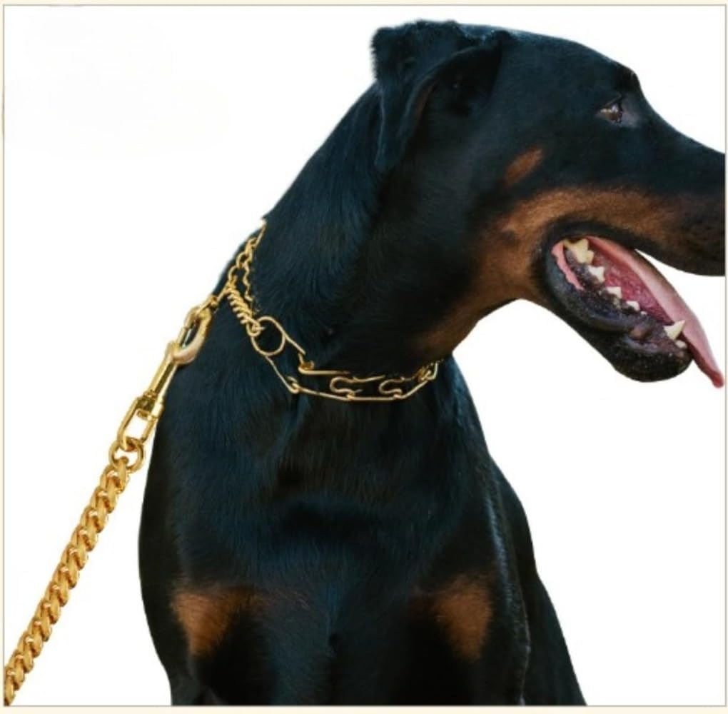 Amazon | ゴールド犬用リード、大型犬用ゴールドリード首輪、レザー
