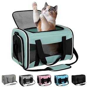 Cat Carrier Soft Sided Breathable Mesh Cat Carrier Airline Approved Dog Carrier Pet Carrier for Pets up to 15 Lbs Portable Dog Travel Carrier with Soft Pad for Small Medium Pets Puppies 17 * 11 * 11