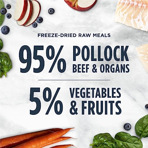 Instinct Freeze Dried Raw Meals Grain Free Recipe Cat Food 9 Ounce (Pack Of 1) #TOP4