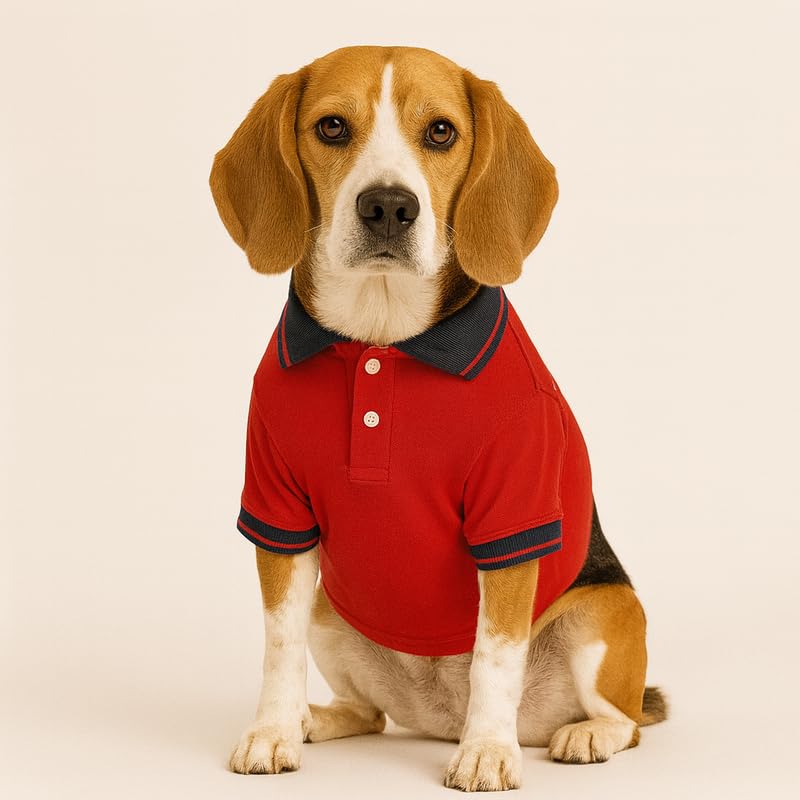 Image of Thunder Tails Premium Cotton Polo Dog T-Shirt | for Large Dogs | Red-Navy | 4XL | for Lean Labrador, Golden Retriever, German Shepherd, Rottweiler, Husky & Chow Chow