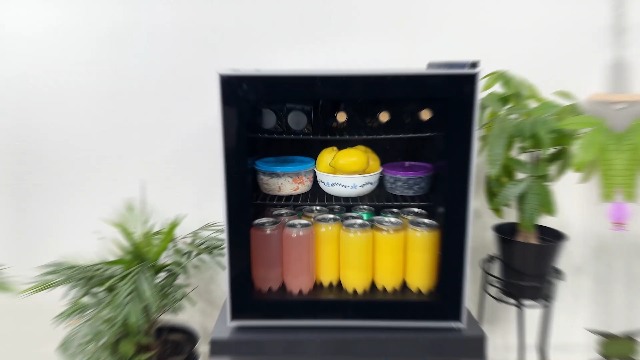 Amazon.com: Frigidaire EFMIS164 60 Can, Glass Door Beverage Center