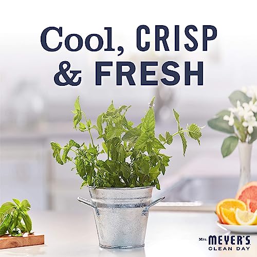 Image of Mrs. MEYER'S CLEAN DAY Multi-Surface Everyday Cleaner Mint Scent, 16 Fl Oz (Pack of 6)