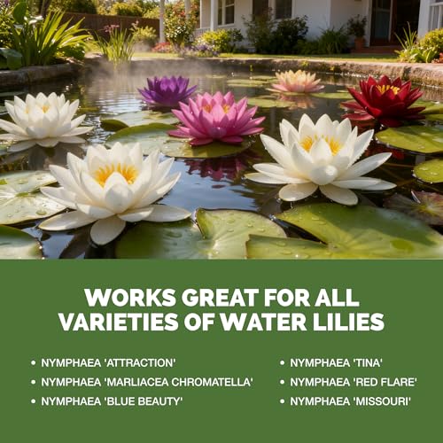 Fertilizante Líquido para Lirios de Agua 32 oz miniatura 5