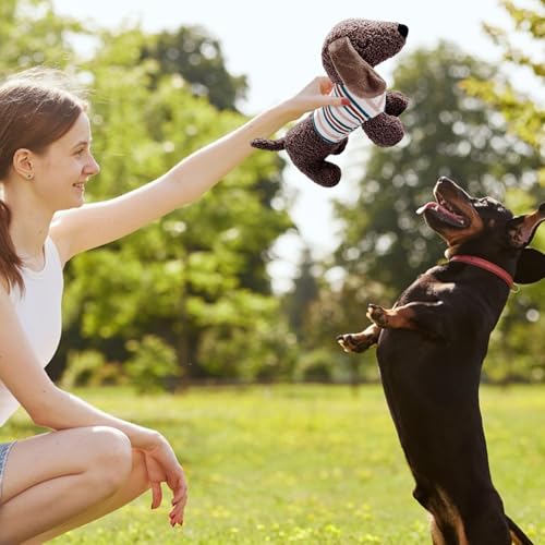 Dog Chew Hundespielzeug, quietschendes Plüsch, Dackel-Design für Welpen | Zahnreinigungstaste für Welpen, weiches Plüschtier, Kauspielzeug