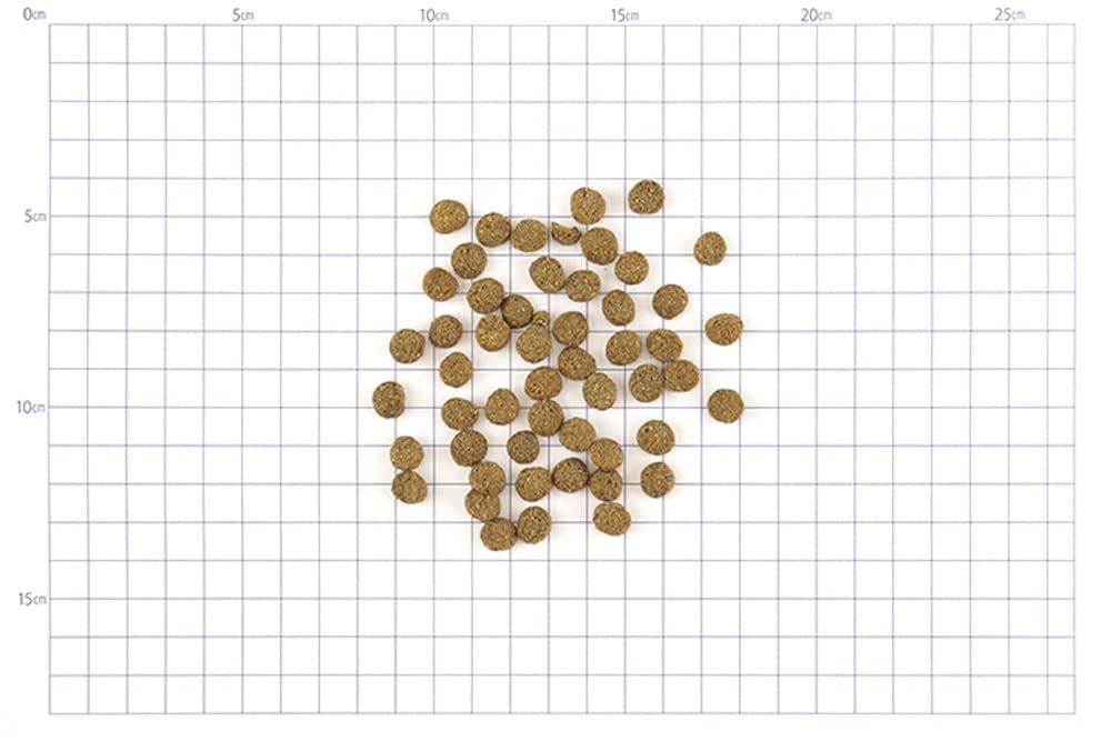 Amazon.co.jp: ハーベスト レジーム スモール ラム 5.5kg【プレゼント