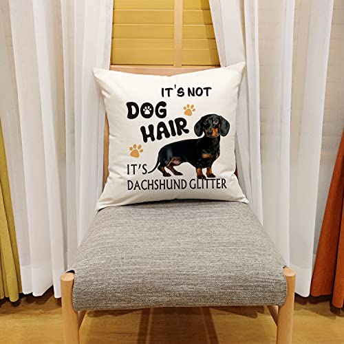 Ouz It's Dachshund Glitter Throw Pillow Cover - It's Not Dog Hair,Dachshund Dog Decor,Funny Pillowcase,Gift For Dog Lovers,Sofa Bed Living Room Home Decoration,18X18 Inch 8D319 #TOP3