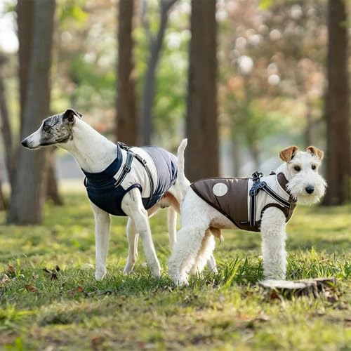 Manteau réfléchissant imperméable pour chien évitant les frissons - 6