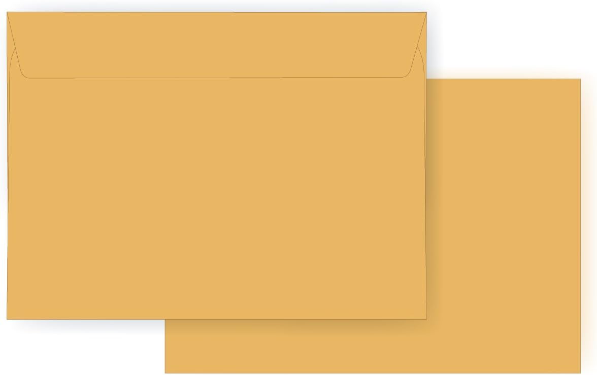 9 x 12 Booklet Envelope - Open Side - 28# Brown Kraft (9 x 12) - Jumbo Series (Box of 500)