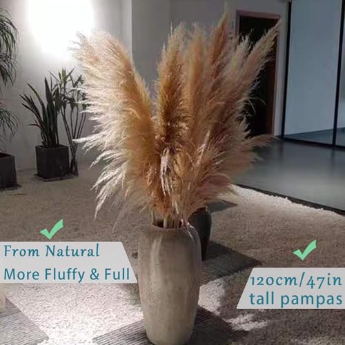 Pampas Grass pack de 10 piezas decorativas natural miniatura 6