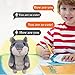 Qwifyu Talking Hamster, Interactive Stuffed Plush Animal Talking Toy Cute Sound Effects with Repeats Your Said Voice, Best Buddy for Kids Gift Age 3+ (Gray)